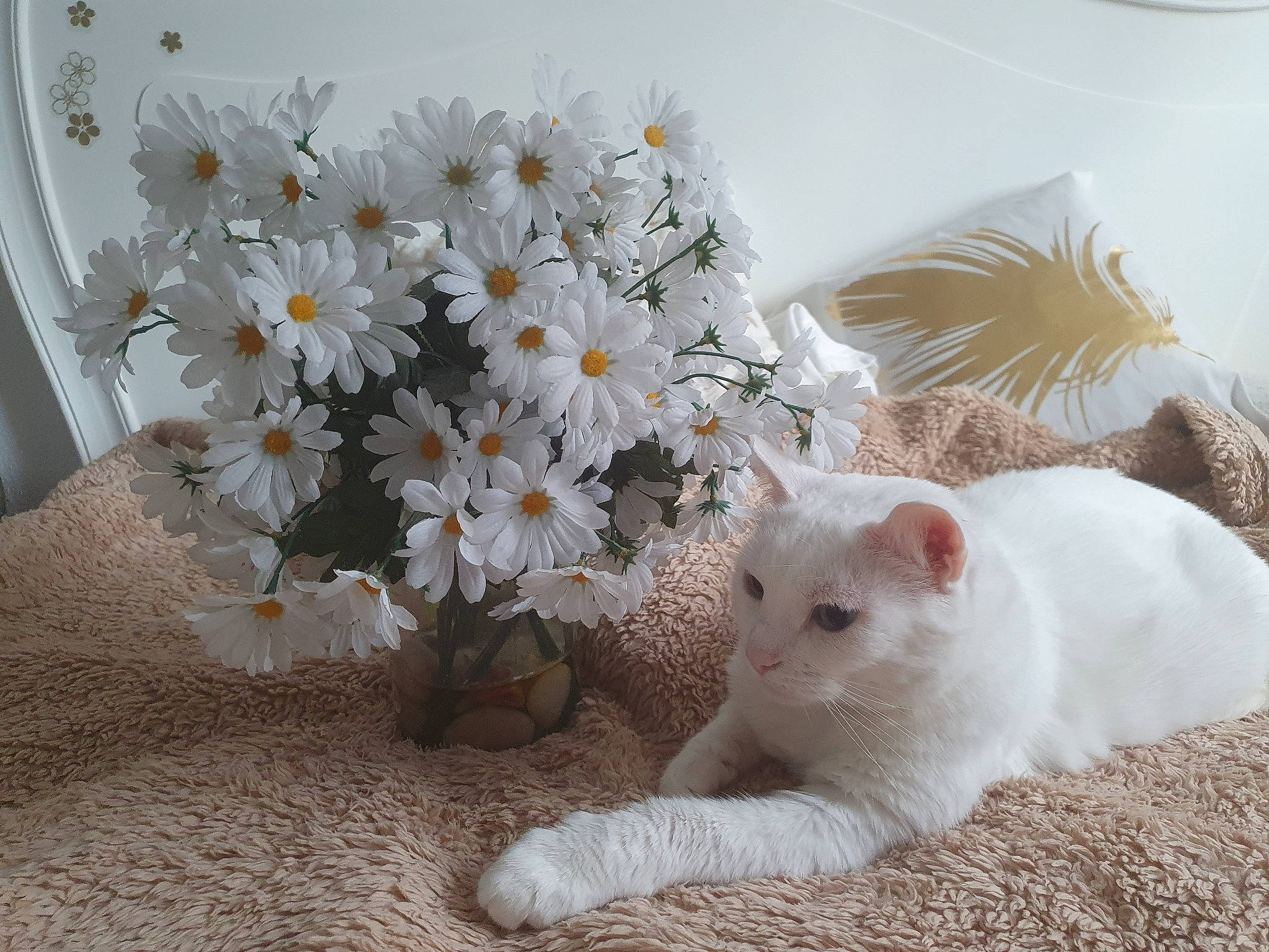 Cat Blanchette a rejoint le concours — aidez-le/la à gagner de superbes lots ! artificial_flower, carnivore, cat, comfort, cut_flowers, domestic_short_haired_cat, felidae, flower, flower_arranging, flowering_plant, fur, linens, paw, petal, plant, room, small_to_medium_sized_cats, tail, twig, whiskers