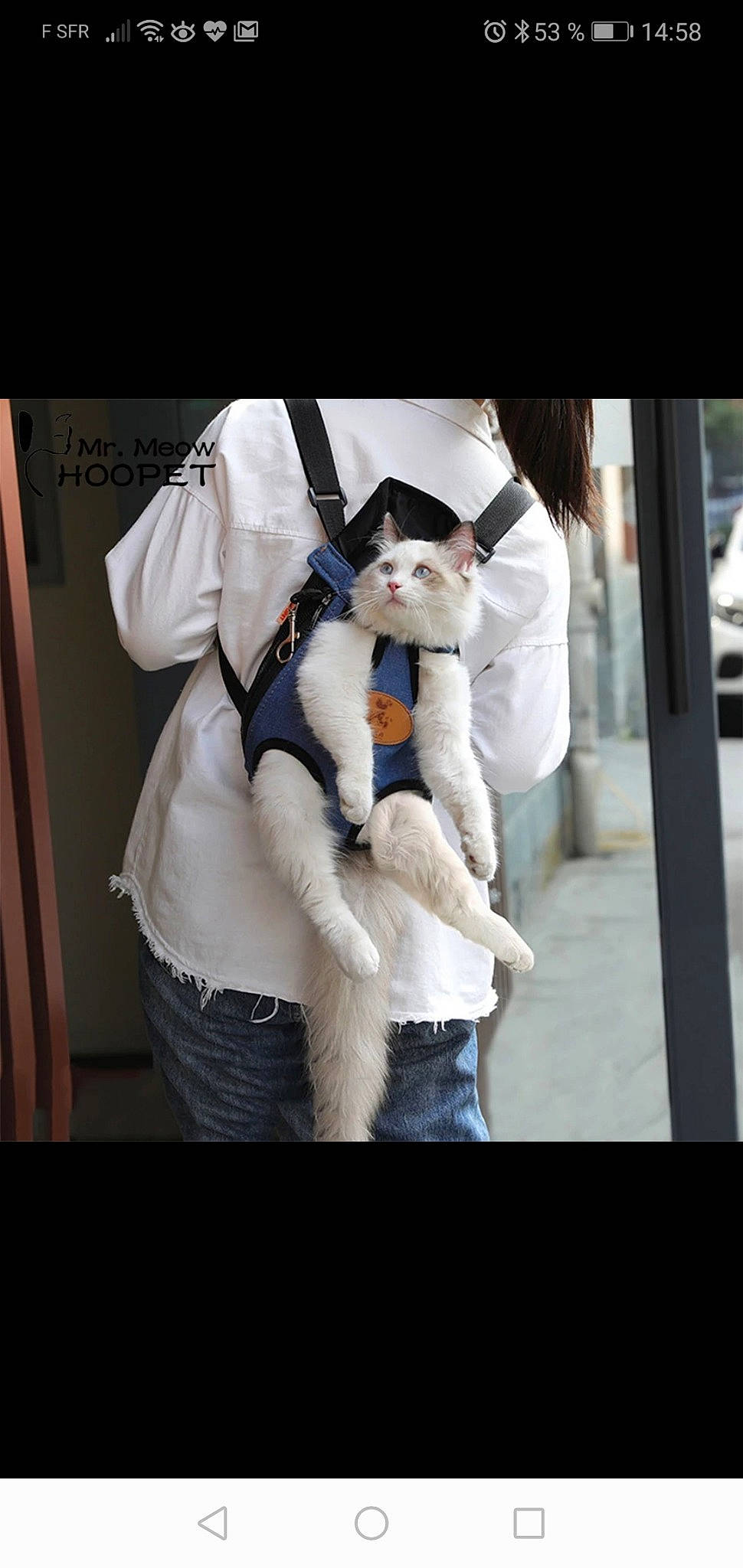 Cat Blanchette a rejoint le concours — aidez-le/la à gagner de superbes lots ! abdomen, bag, canidae, companion_dog, dog_breed, eyewear, fashion_accessory, fashion_design, felidae, formal_wear, fur, fur_clothing, gesture, glove, hug, street_fashion, stuffed_toy, toy, uniform, whiskers