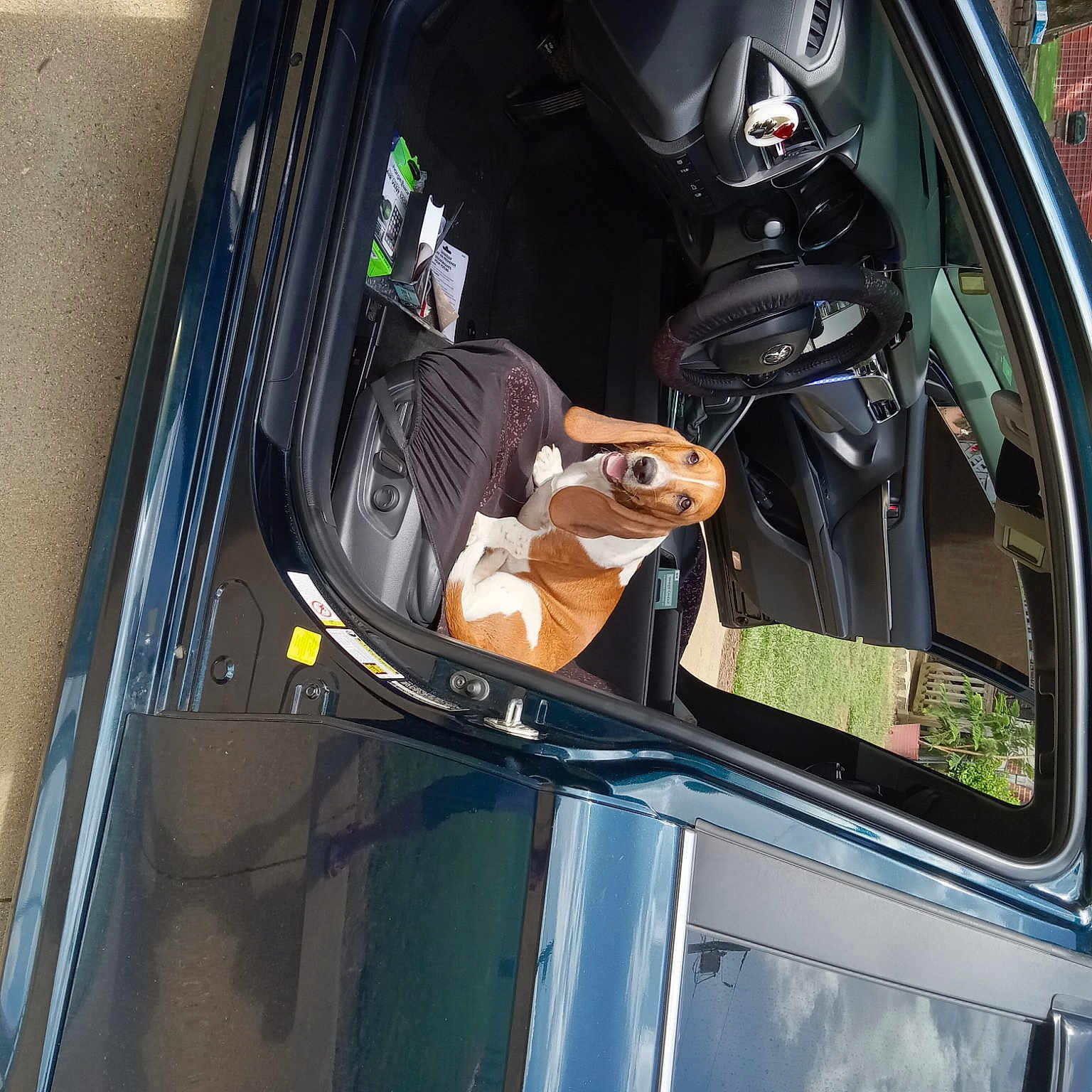 Milly joined the competition — help win amazing prizes! auto_part, automotive_design, automotive_exterior, automotive_lighting, automotive_mirror, automotive_parking_light, automotive_tail_brake_light, automotive_tire, bumper, car, family_car, fender, hood, motor_vehicle, personal_luxury_car, rim, trunk, vehicle, vehicle_door, window