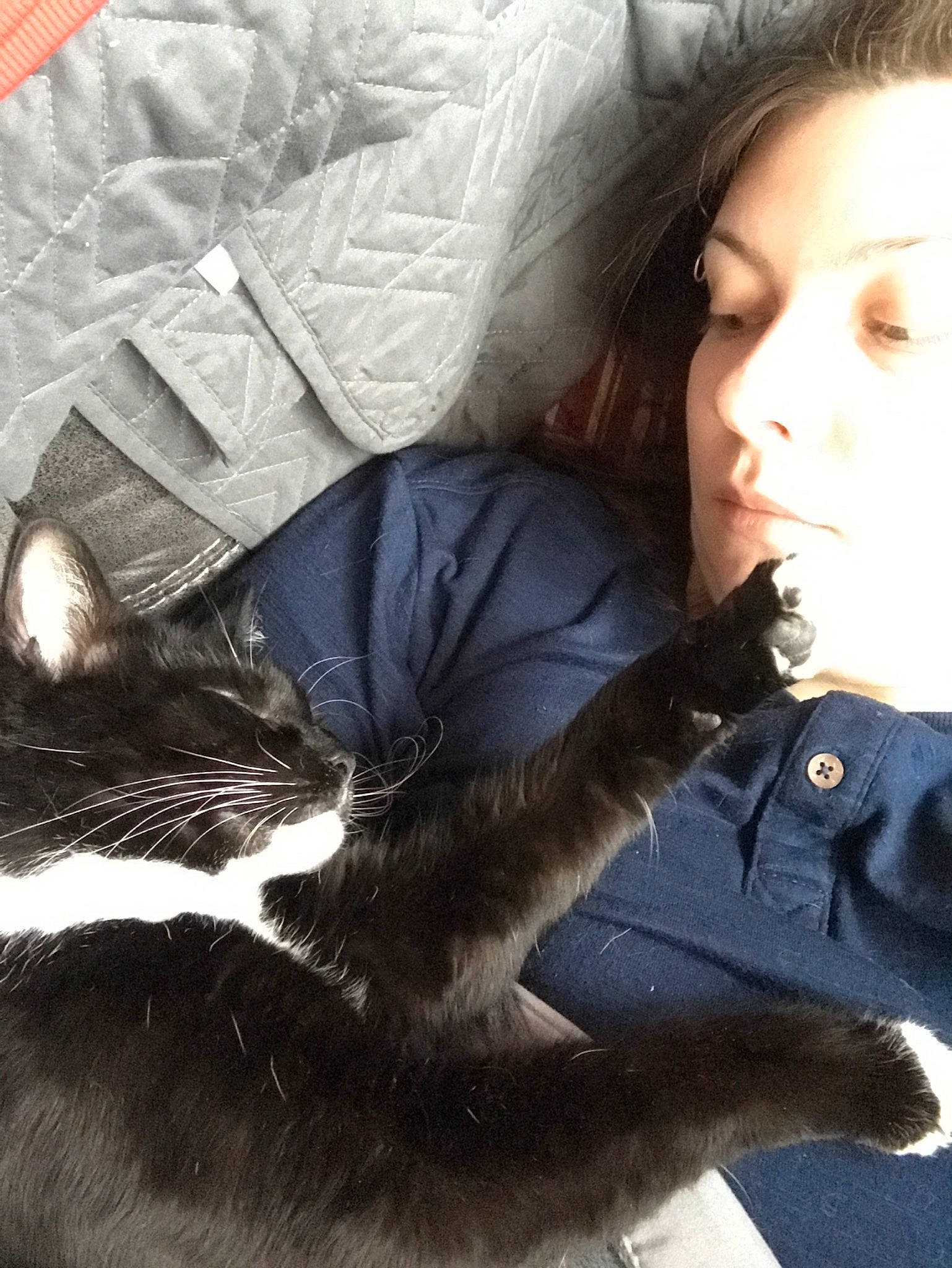 Knuckles joined the competition — help win amazing prizes! black_cat, carnivore, cat, ear, felidae, fur, small_to_medium_sized_cats, whiskers