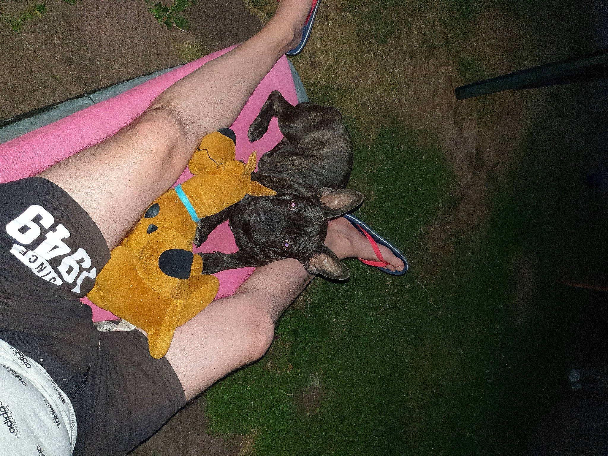 Tokyo participe au concours pour gagner de l'argent avec cette photo : adventure, barefoot, calf, dog, dog_breed, elbow, foot, fun, grass, human_leg, knee, leg, leisure, nail, recreation, sandal, sock, sportswear, thigh, wrist