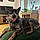 Ringo