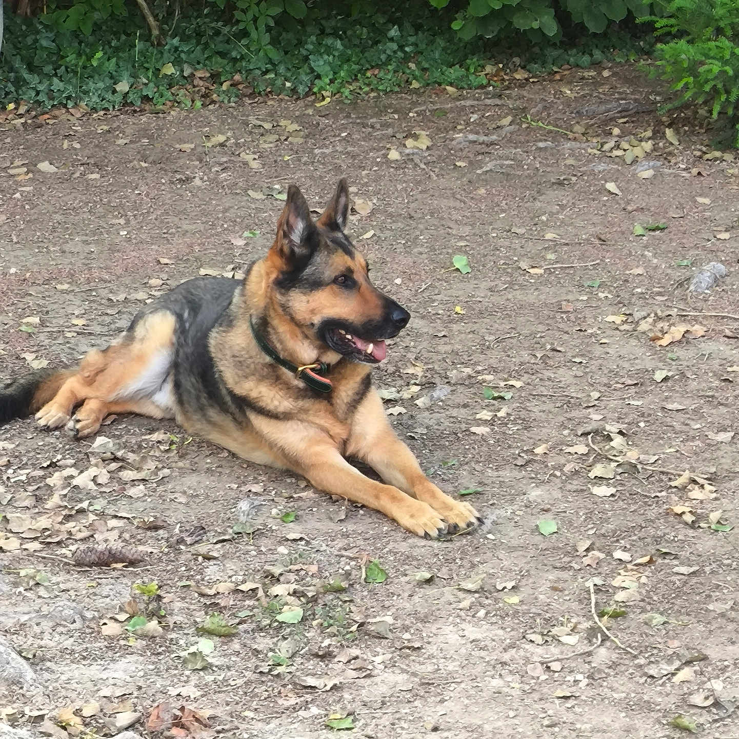 Kador