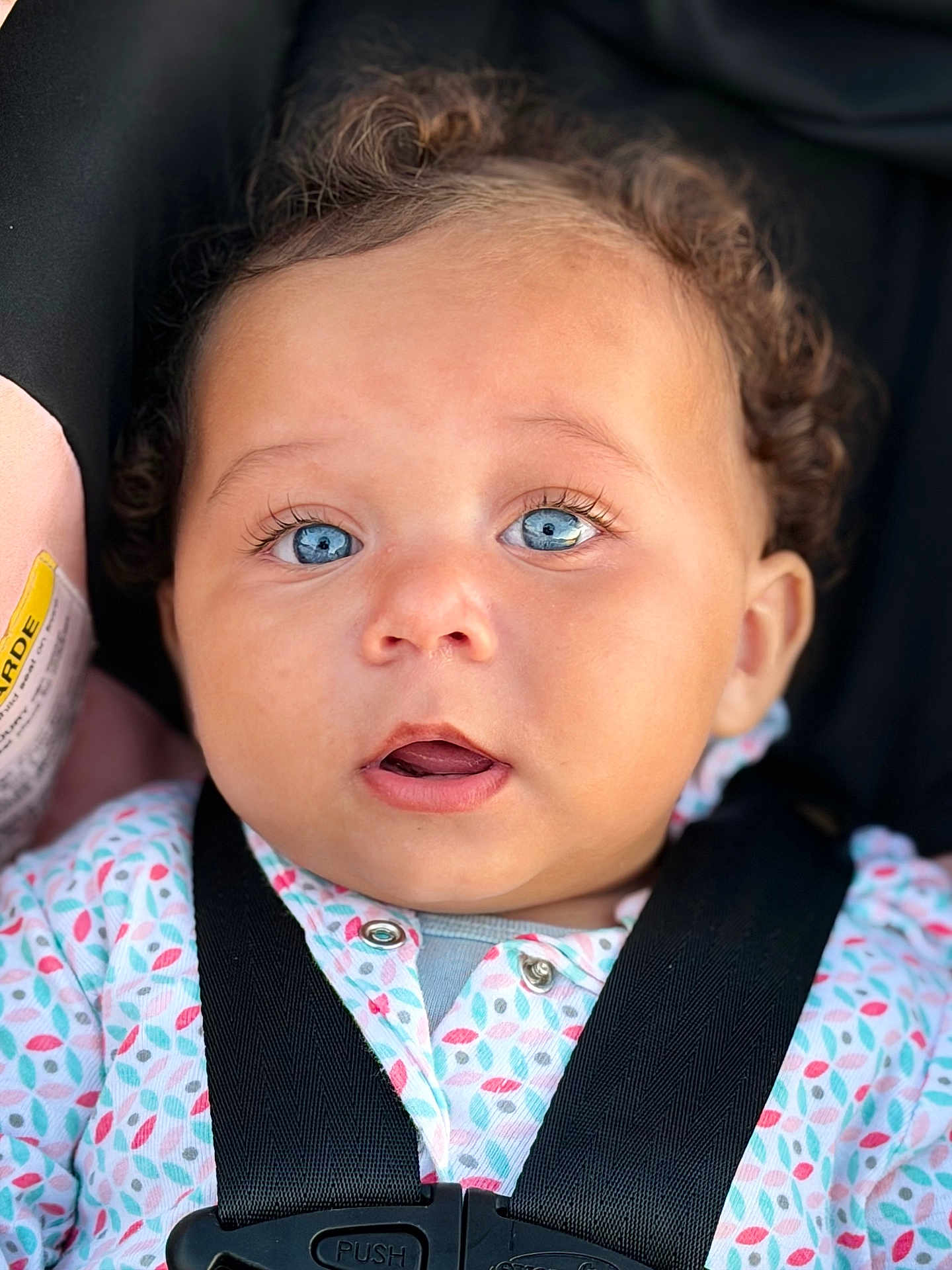 Kalaya is registered to the contest to win money with this photo: baby, blue_eyes, car_seat, child, curly_hair, face, infant, onesie, patterned_clothing, seatbelt, straps, close_up, portrait, expression, cute, young_child, skin, person, head, apparel