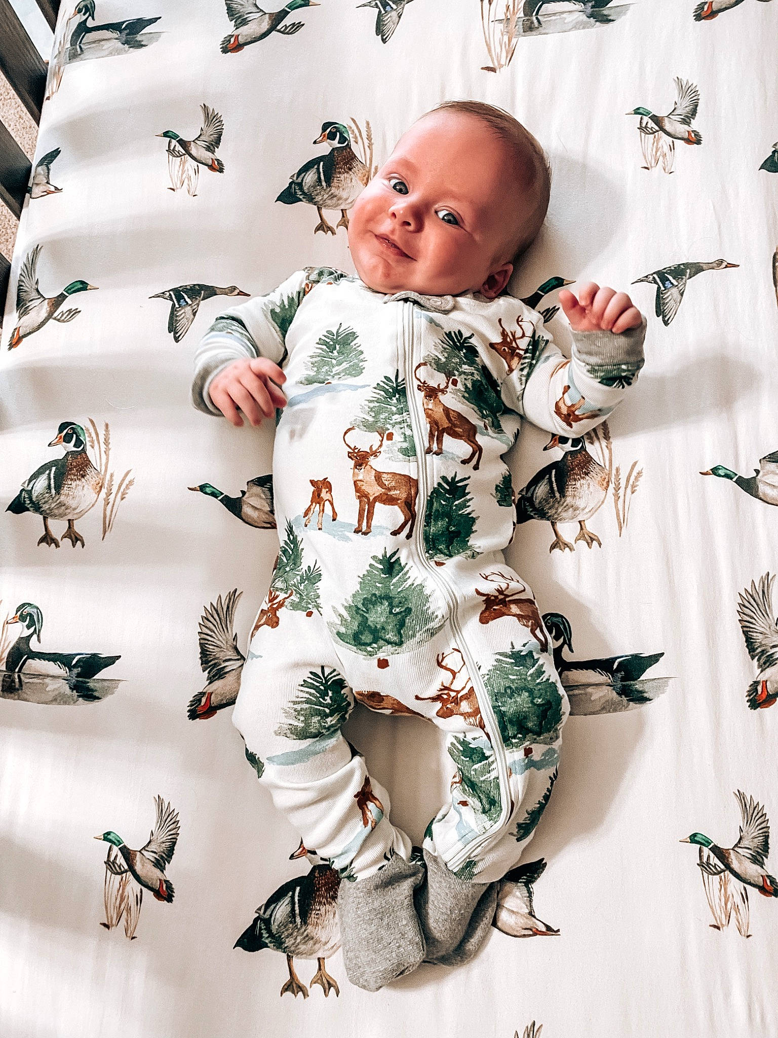 Bodie is registered to the contest to win money with this photo: art, baby, baby_products, baby_toddler_clothing, child, comfort, floral_design, font, happy, linens, pattern, person, product, room, sleeve, smile, toddler, visual_arts, wallpaper