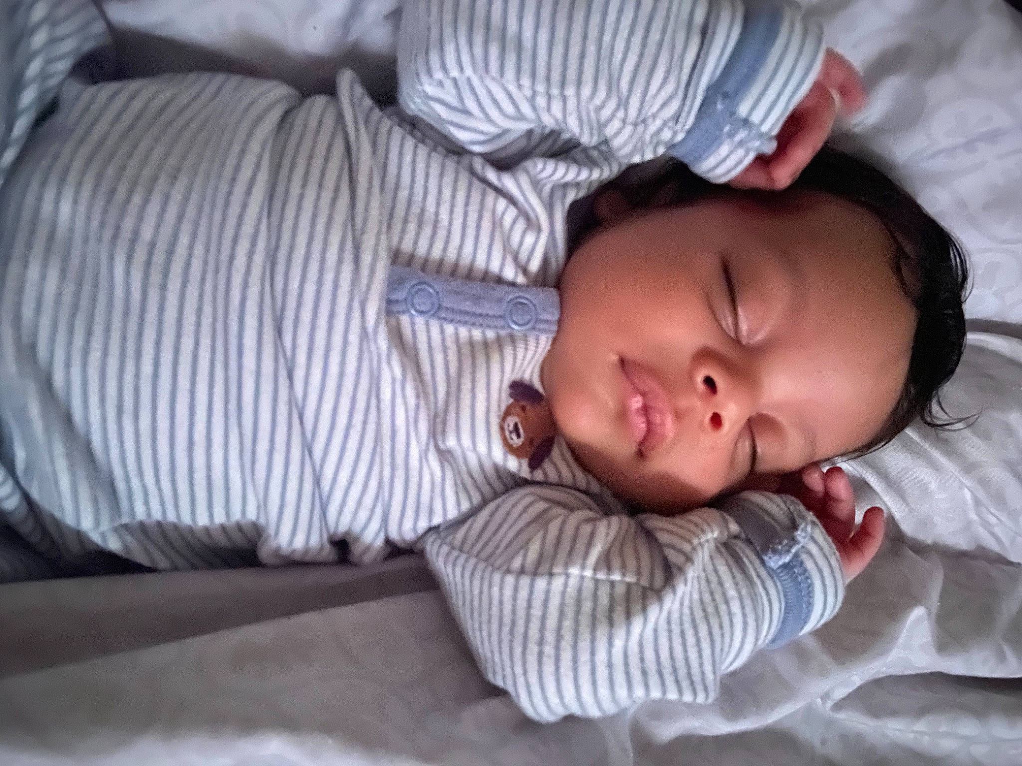 Ace joined the competition — help win amazing prizes! baby, baby_toddler_clothing, bedtime, child, comfort, flooring, linens, nap, nose, pattern, person, portrait_photography, room, sitting, sleep, sleeve, textile, toddler, tree, wood