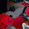 black_cat, cat, carpet, vacuum_cleaner, glass_table, red_placemat, white_mug, living_room, household_items, floor, red_rug, curious_cat, indoor, pet, feline, table, cup, cozy, cluttered, home
