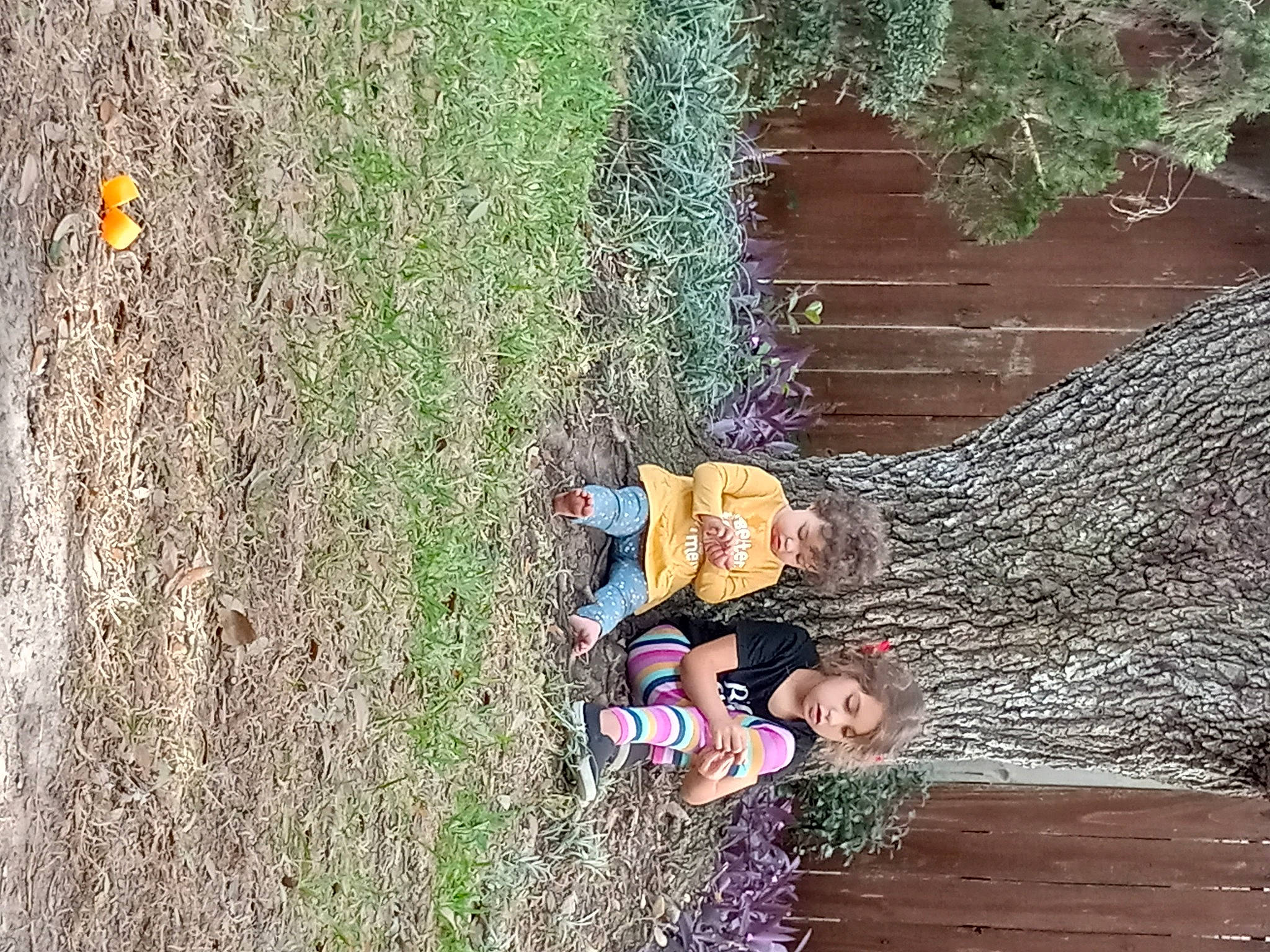 Kamila joined the competition — help win amazing prizes! adaptation, adventure, biome, fun, grass, groundcover, landscape, leisure, people_in_nature, person, plant, recreation, shadow, shrub, soil, toddler, tree, trunk, wall, wood