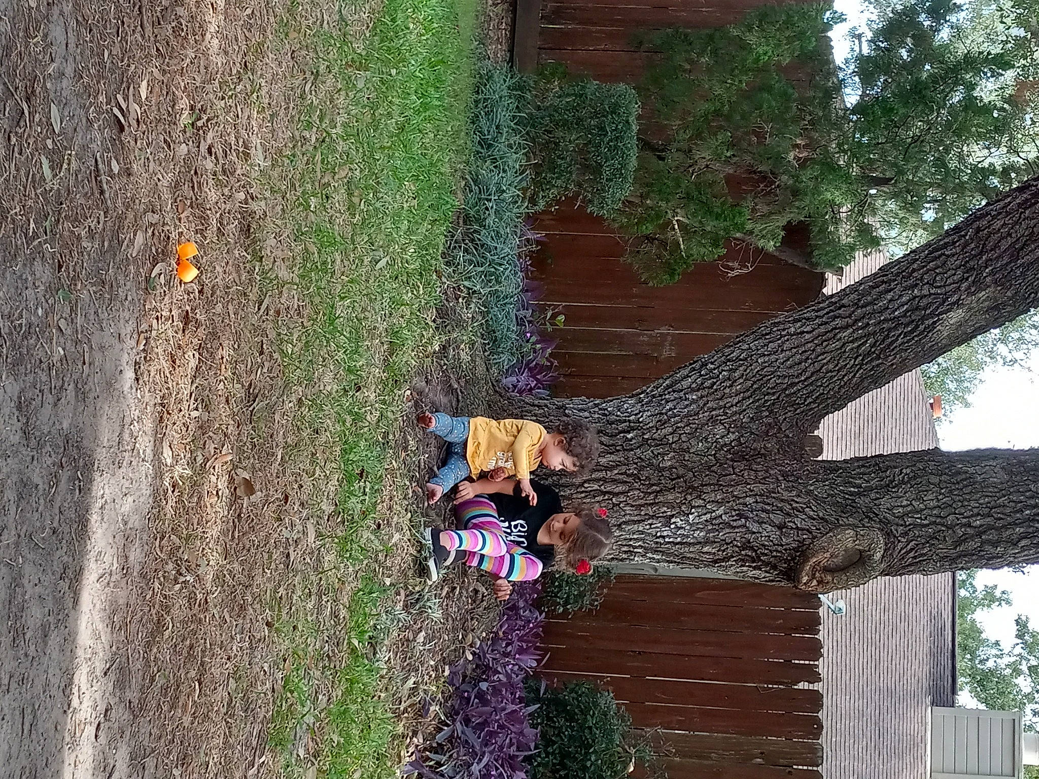 Kamila joined the competition — help win amazing prizes! adaptation, biome, fun, garden, grass, groundcover, landscape, leaf, leisure, people_in_nature, person, plant, shadow, shrub, soil, tints_and_shades, tree, trunk, twig, wood