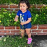 toddler, child, flower, plants, grass, brick_wall, blue_shirt, pink_sneakers, outdoor, nature, greenery, young_child, cute, expression, standing, daylight, casual_clothing, person, small_plant, garden