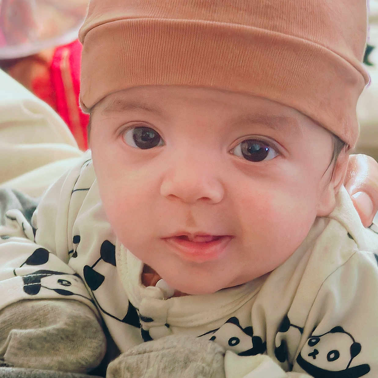 Oussaïed a rejoint le concours — aidez-le/la à gagner de superbes lots ! adorable, apparel, baby, child, closeup, clothing, cozy, cute, eyes, face, gloves, hat, indoors, infant, panda_pattern, person, portrait, smiling, soft_lighting, warm