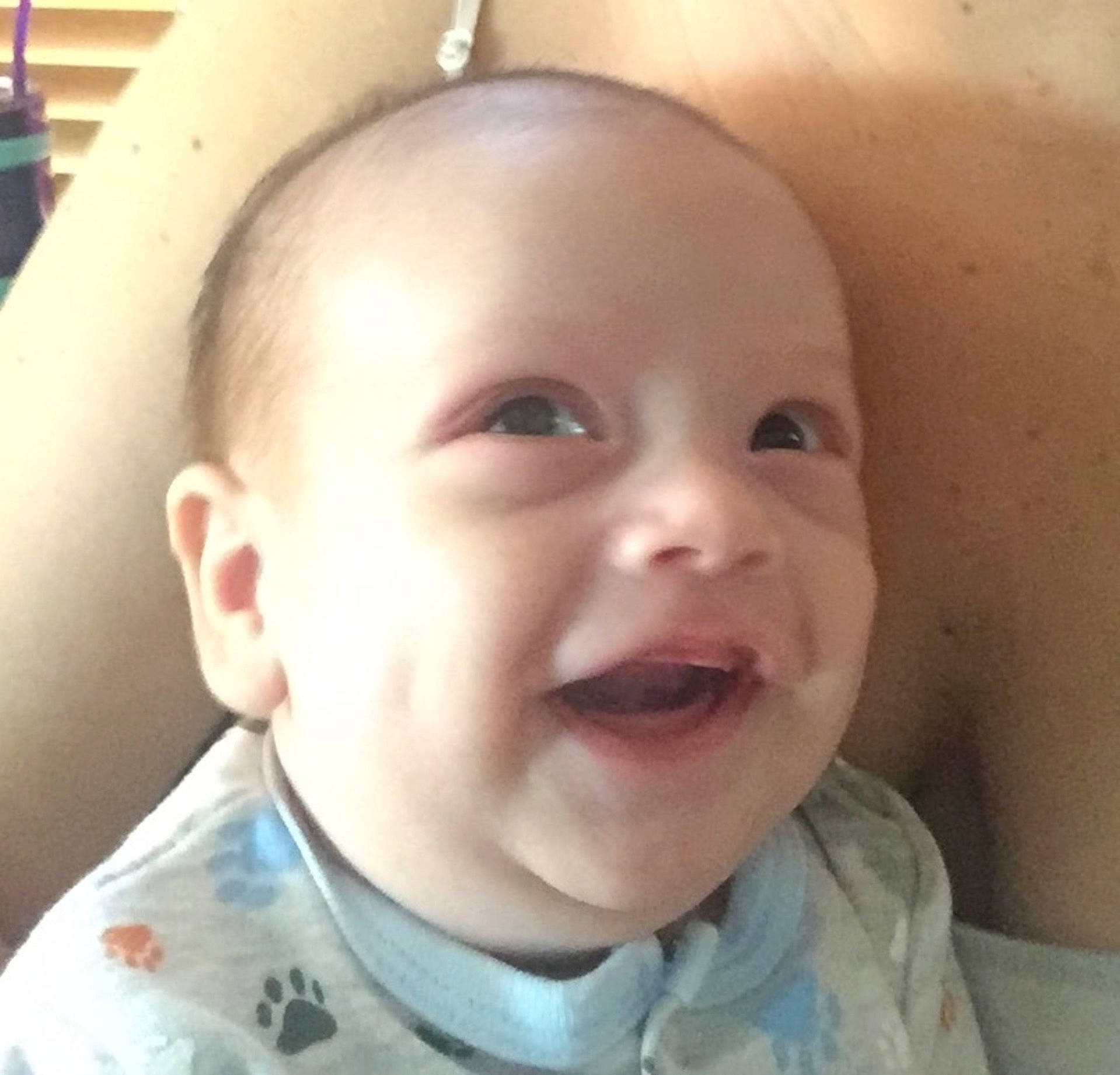 Maximus is registered to the contest to win money with this photo: boy, cheek, child, chin, ear, eye, eyebrow, face, forehead, hair, hairstyle, head, infant, lip, mouth, nose, person, skin, smile, toddler