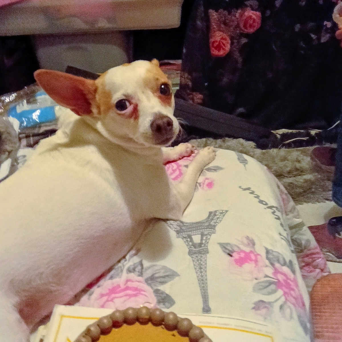 Lala