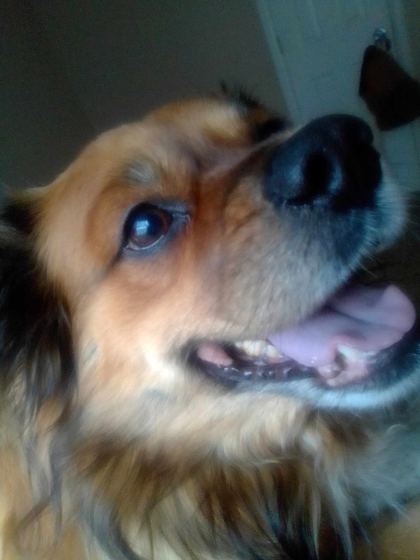 Benny Jet