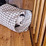 cat, black_and_white_cat, fabric_tunnel, wooden_floor, curious, pet, indoor, feline, animal, playful, checkered_pattern, flooring, home, cute, whiskers, ears, tail, looking, small, domestic