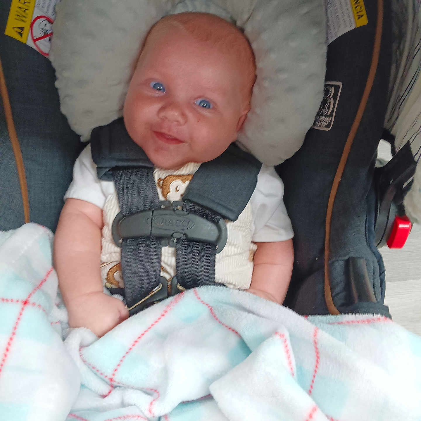 Karter joined the competition — help win amazing prizes! baby, car, car_interior, carseat, clothing, crib, cushion, face, furniture, hat, head, homedecor, infantbed, newborn, pants, person, photography, portrait, transportation, vehicle