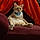 Mr. Kitty