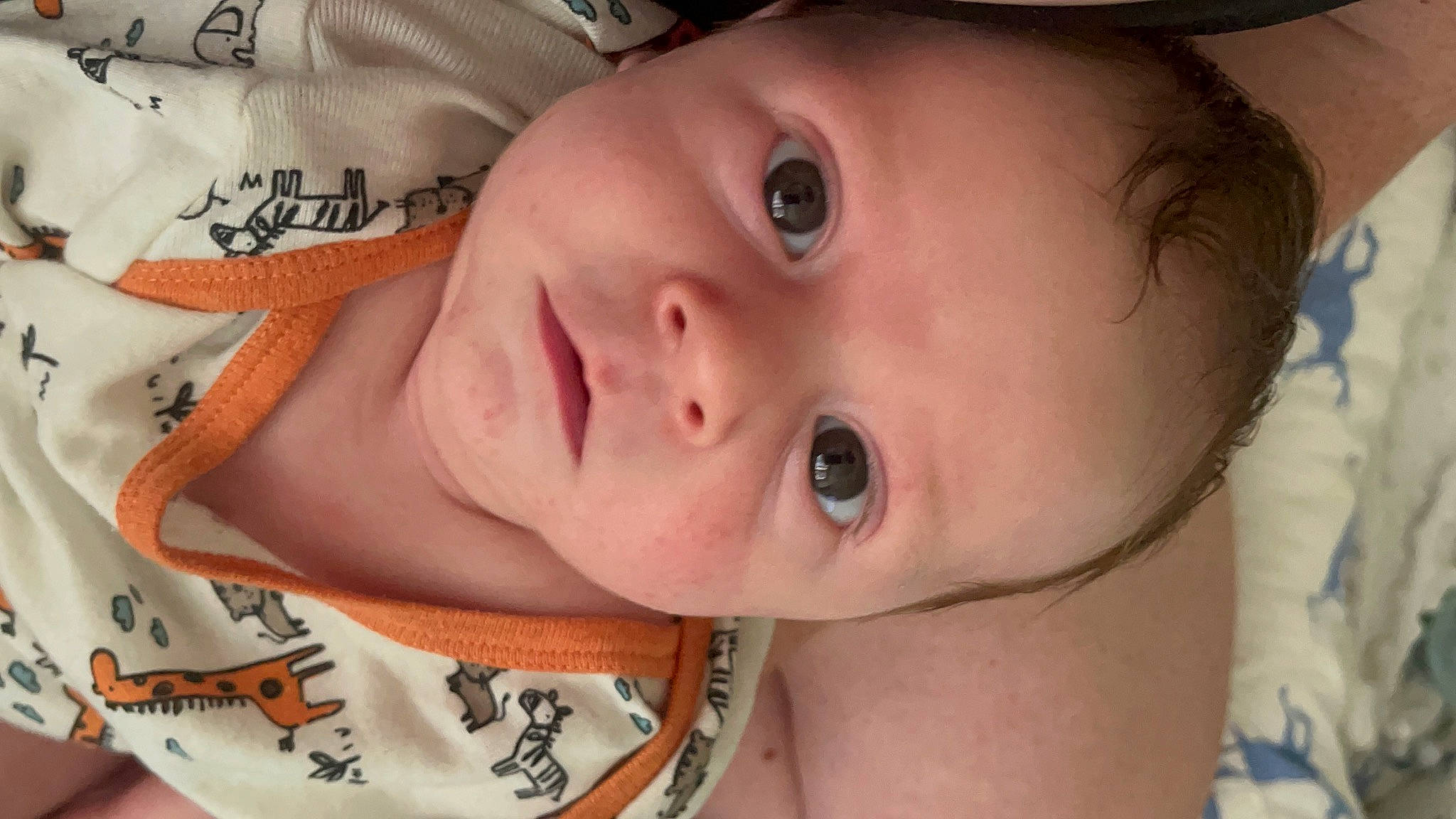 Allen joined the competition — help win amazing prizes! baby, baby_toddler_clothing, cheek, child, ear, eye, eyebrow, eyelash, forehead, happy, hat, headgear, iris, lip, mouth, neck, nose, person, skin, smile