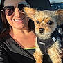 Ace is registered to the contest to win money with this photo: dog, small_dog, pet, person, sunglasses, smile, car_interior, car_seat, harness, fur, portrait, close_up, passenger, window, sunlight, brown_eyes, whiskers, ears, casual_clothing, travel
