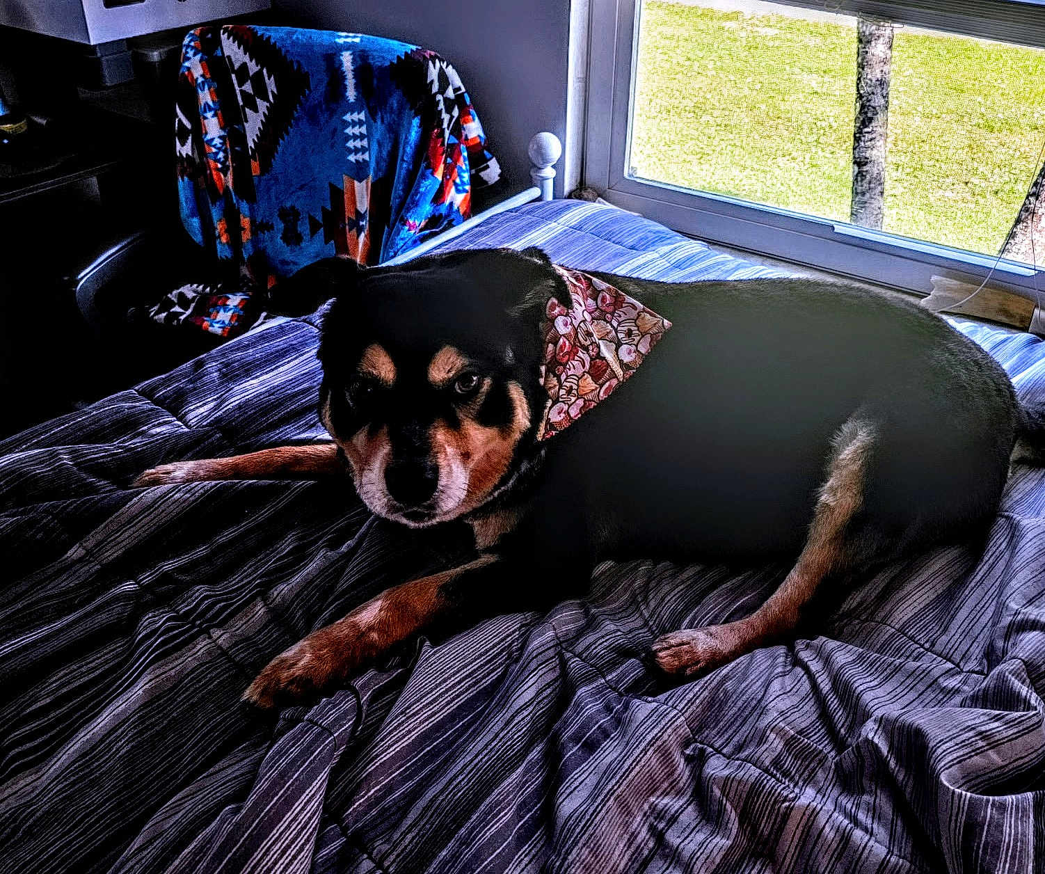 Buster