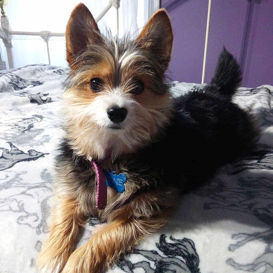 Winnie