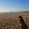 dog, beach, seaside, ocean, sand, sailboat, pier, water, sky, sunset, outdoor, shoreline, seated, profile, black_dog, harness, pawprints, tire_tracks, travel, landscape