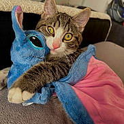 Tigrou participe au concours pour gagner de l'argent avec cette photo : cat, kitten, tabby, white_fur, blue_plush_toy, stuffed_animal, toy, cuddling, wide_eyed, yellow_eyes, pink_nose, whiskers, furry, indoor, cozy, blanket, couch, portrait, closeup, adorable