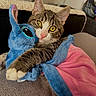 cat, kitten, tabby, white_fur, blue_plush_toy, stuffed_animal, toy, cuddling, wide_eyed, yellow_eyes, pink_nose, whiskers, furry, indoor, cozy, blanket, couch, portrait, closeup, adorable