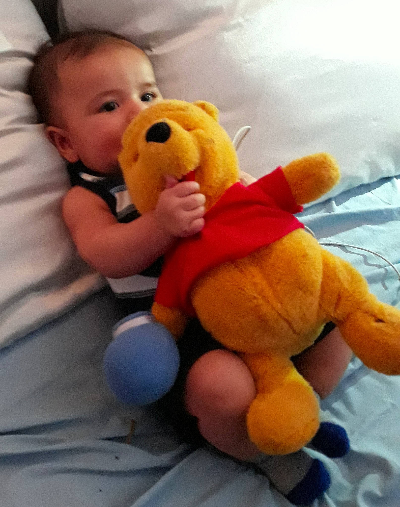Jaime is registered to the contest to win money with this photo: baby, baby_products, baby_toys, child, head, orange, person, plush, product, stuffed_toy, teddy_bear, textile, toddler, toy, yellow