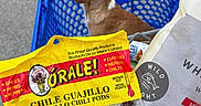 Rocky joined the competition — help win amazing prizes! dog, shopping_cart, grocery, guajillo_chili_pods, yellow_bag, blue_cart, leafy_greens, plastic_bag, pet, brown_dog, white_markings, outdoor, pavement, food, spices, herbs, peppers, medium_hot, shopping, pet_in_cart