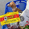 dog, shopping_cart, grocery, guajillo_chili_pods, yellow_bag, blue_cart, leafy_greens, plastic_bag, pet, brown_dog, white_markings, outdoor, pavement, food, spices, herbs, peppers, medium_hot, shopping, pet_in_cart