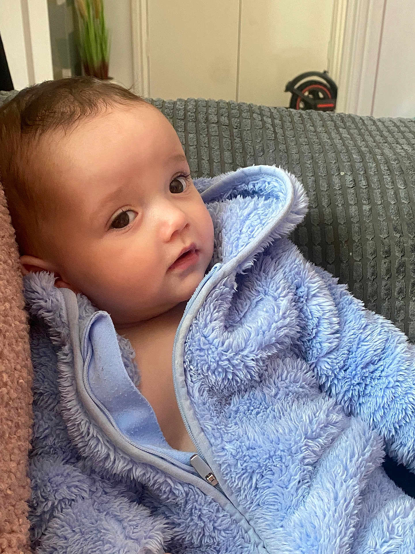 Samson is registered to the contest to win money with this photo: baby, child, blue_jacket, fluffy_clothing, indoor, couch, cushion, face, head, person, portrait, young_child, soft_texture, curious, seated, warm_clothing, human, infant, closeup, relaxed