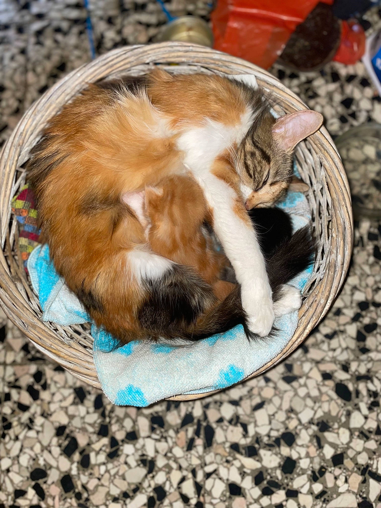 Minimine Et Se Miniminimine