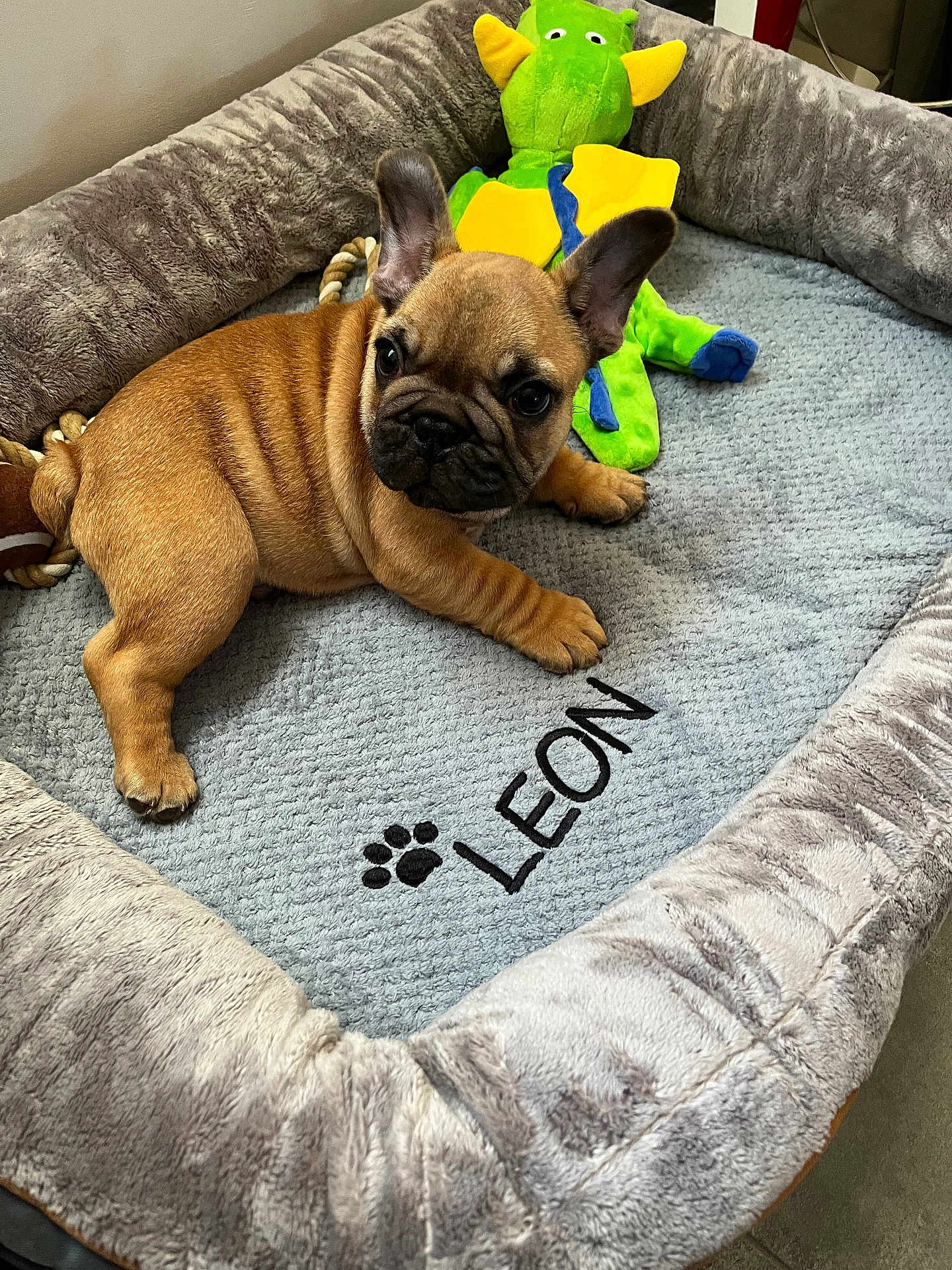 Léon