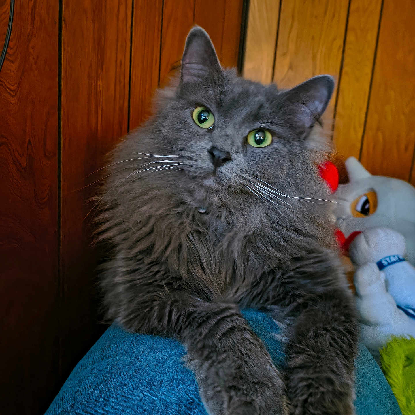 Luna