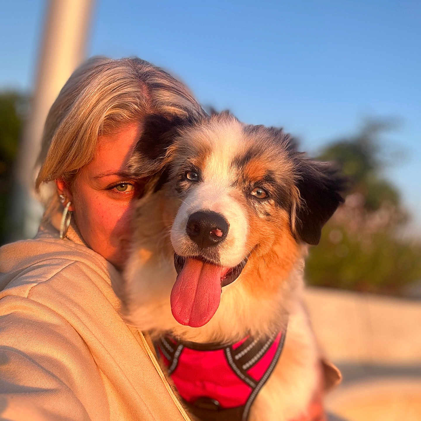 Aïka participe au concours pour gagner de l'argent avec cette photo : affection, animal, blonde_hair, canine, close_up, cuddle, daylight, dog, face, happy, harness, nature, outdoor, person, pet, portrait, smiling, sunlight, tongue_out, warm_light