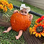 autumn, baby, barefoot, bow, child, cute, face, fall, flower, grass, green, holiday, nature, orange, outdoor, plant, pumpkin, seasonal, smiling, yellow