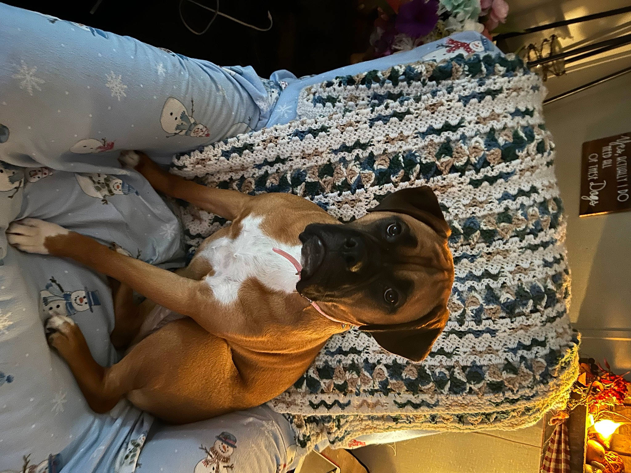 Beth Dutton is registered to the contest to win money with this photo: abdomen, art, bedding, comfort, couch, eyewear, fawn, felidae, fun, fur, human_leg, leisure, linens, metal, room, statue, textile, thigh, tree, wood