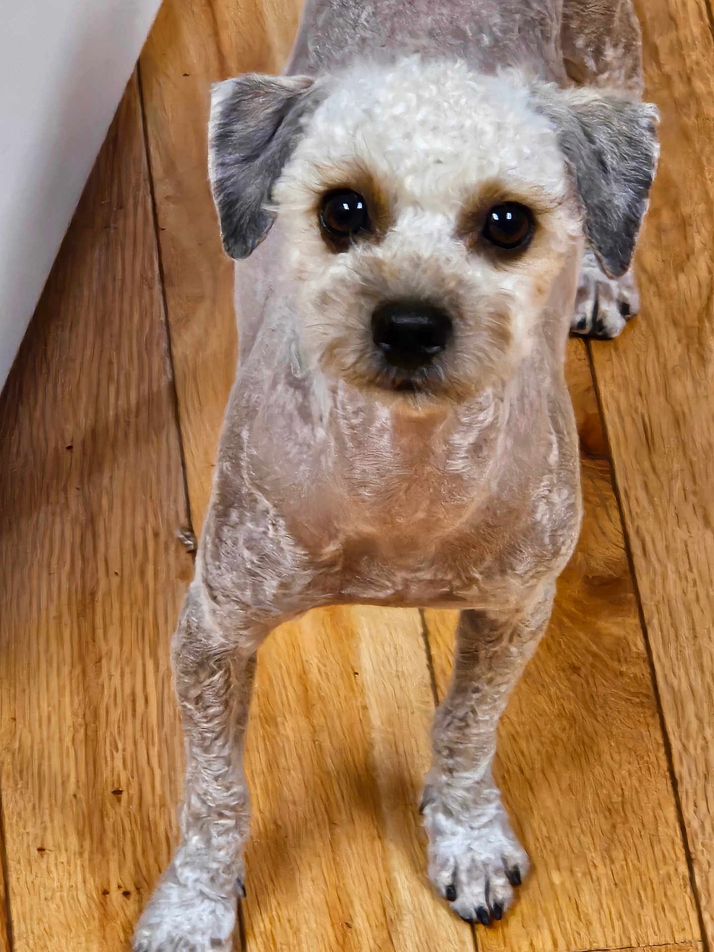 Gabby