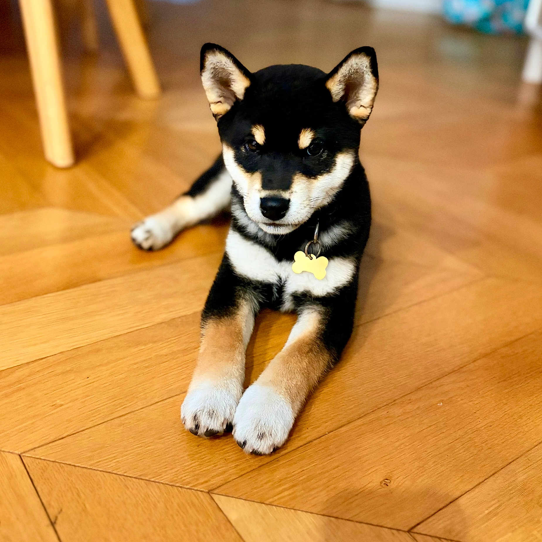 Bao