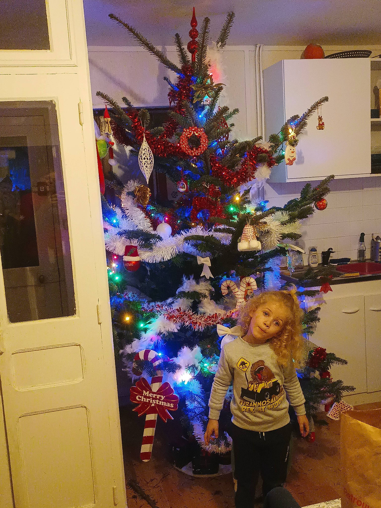 Tony a rejoint le concours — aidez-le/la à gagner de superbes lots ! christmas, christmas_decoration, christmas_ornament, christmas_tree, conifer, door, electric_blue, event, evergreen, fun, holiday, holiday_ornament, interior_design, ornament, person, plant, purple, room, toddler, tree