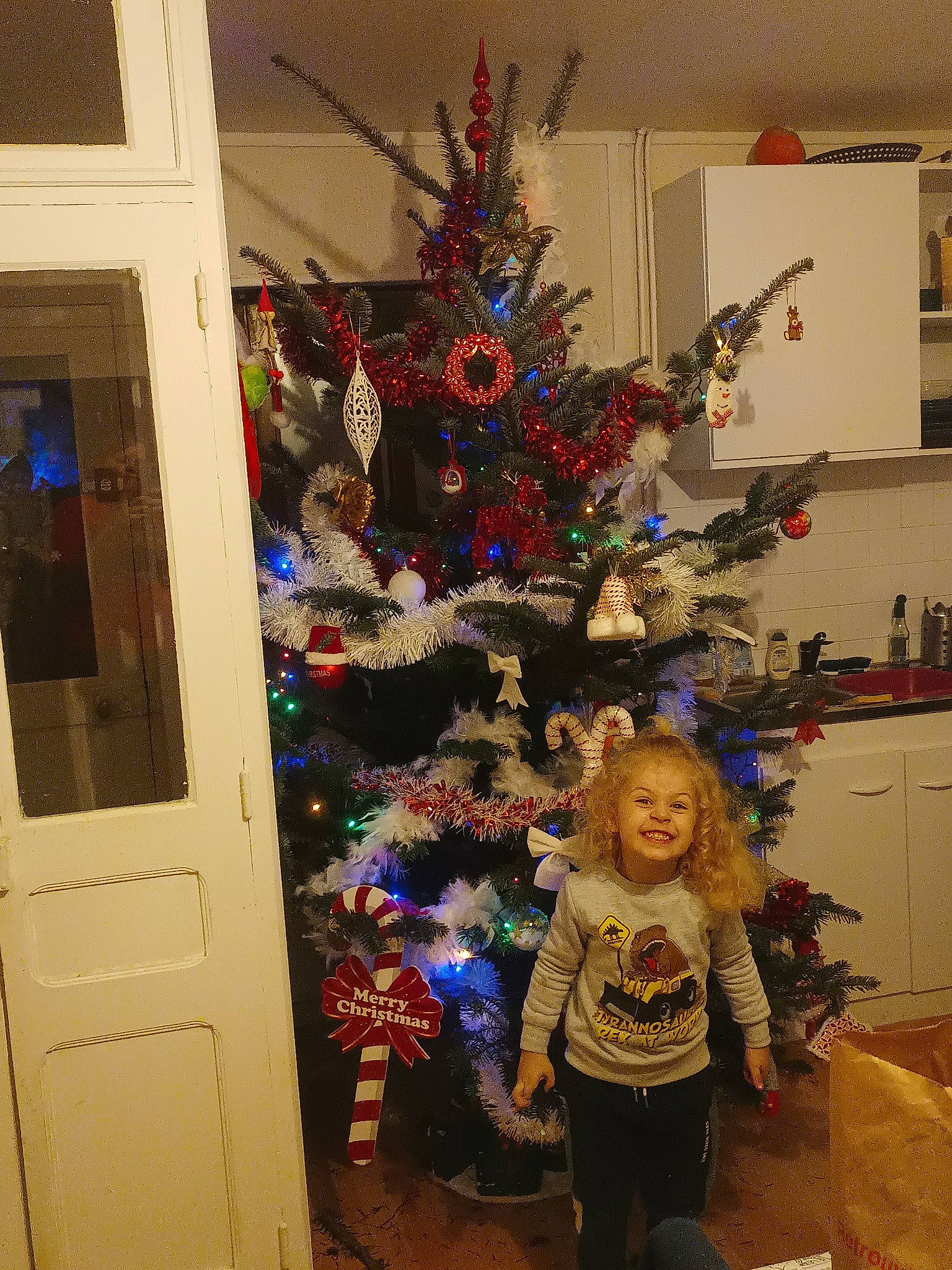 Tony participe au concours pour gagner de l'argent avec cette photo : christmas, christmas_decoration, christmas_eve, christmas_ornament, christmas_tree, conifer, door, event, evergreen, fun, holiday, holiday_ornament, interior_design, joy, ornament, person, plant, room, toddler, tree