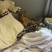 Leo joined the competition — help win amazing prizes! bedroom, cat, ginger_cat, blanket, pillow, teddy_bear, shelf, indoor, cozy, sleeping, furniture, curtain, plush, soft, relaxing, pet, home, resting, comfort, room