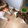 Malone a rejoint le concours — aidez-le/la à gagner de superbes lots ! child, toddler, cat, pet, floor, wooden_floor, curious, interaction, indoor, hands, head, fur, animal, person, clothing, white_sleeves, tabby_cat, bowls, home, playful