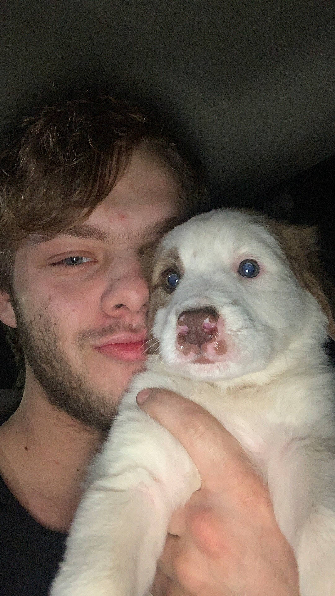 Blanco joined the competition — help win amazing prizes! beard, carnivore, comfort, companion_dog, dog, dog_breed, ear, eye, fawn, flash_photography, gesture, happy, human_body, iris, jaw, mouth, nose, skin, snout, whiskers