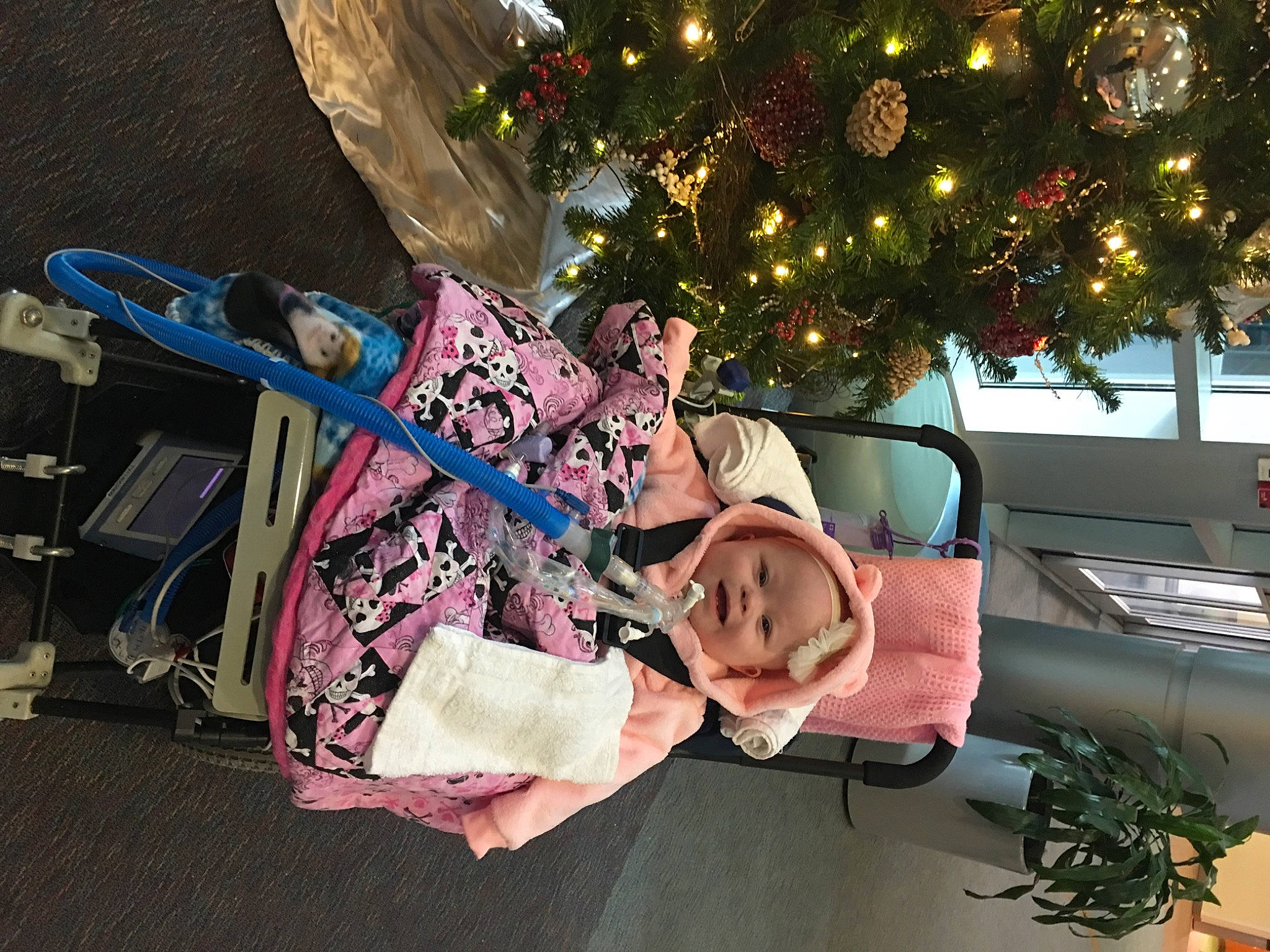 Alaine is registered to the contest to win money with this photo: headwear, person, tree