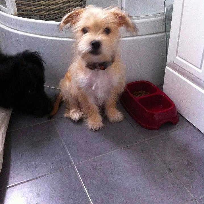 Happy a rejoint le concours — aidez-le/la à gagner de superbes lots !