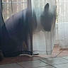 Taïgo participe au concours pour gagner de l'argent avec cette photo : aluminium, building_material, cleanliness, composite_material, concrete, daylighting, fixture, floor, flooring, gas, glass, hardwood, human_leg, metal, plumbing_fixture, tile_flooring, tints_and_shades, transparency, transparent_material, wood