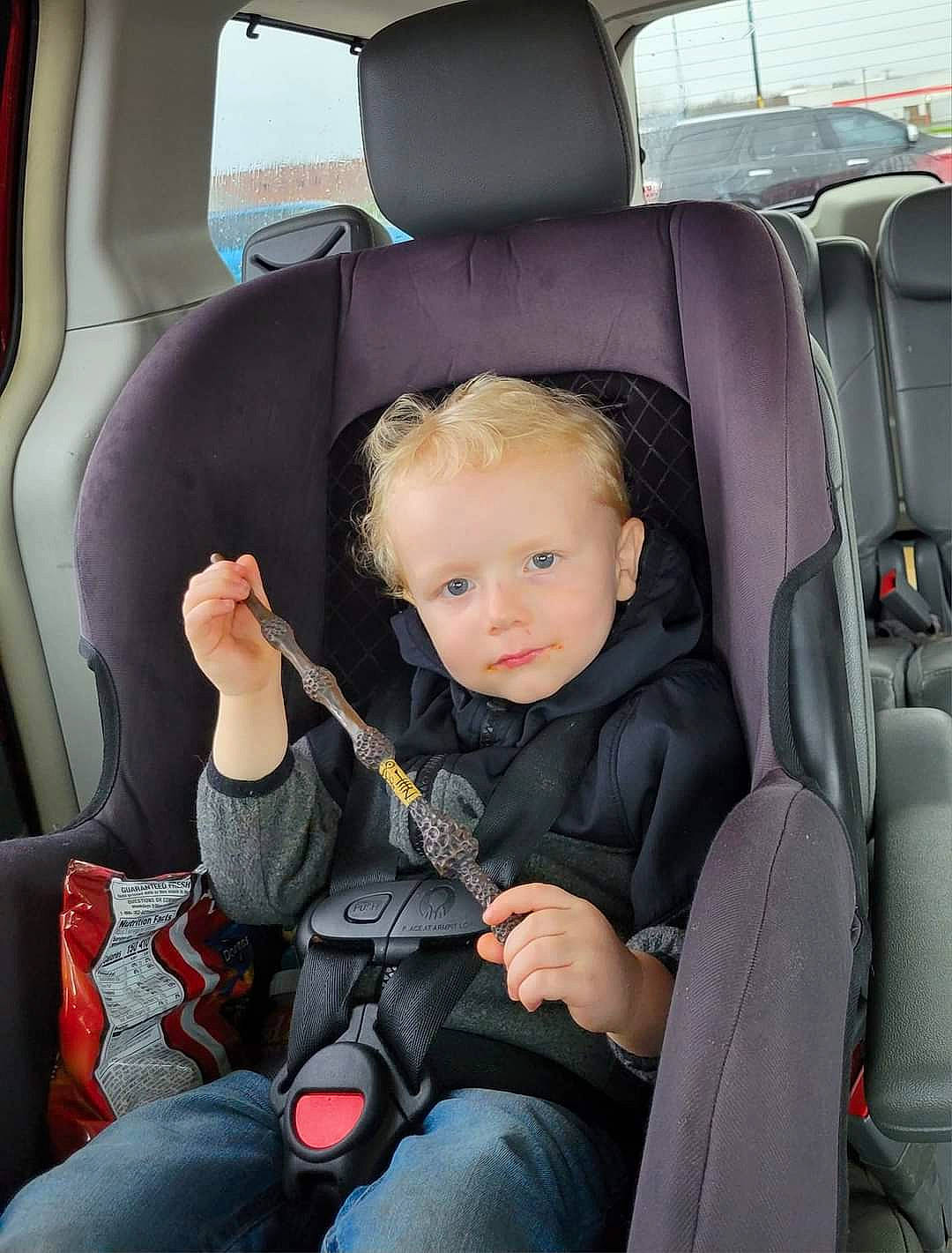 Knox joined the competition — help win amazing prizes! auto_part, automotive_design, automotive_exterior, car, car_seat, car_seat_cover, comfort, family_car, head_restraint, mode_of_transport, motor_vehicle, passenger, person, plant, seat_belt, steering_part, toddler, vehicle, vehicle_door, white