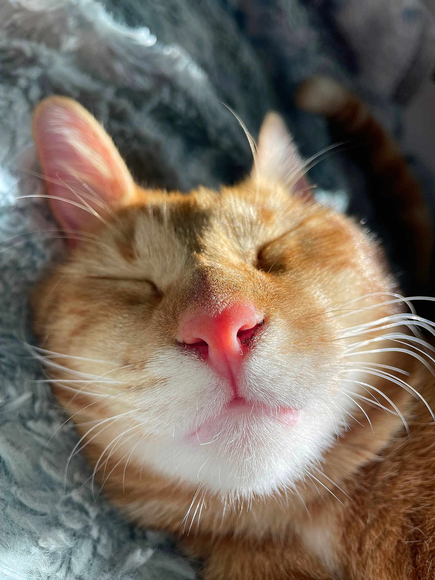 Tigger